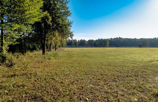Poland Belarus border wall in Bialowieza Forest, Poland