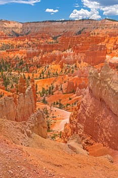 Peering Into the Canyon Depths in Bryce Canyon National Prk in Utah