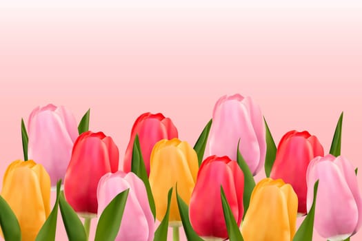 Multicolored tulips on a light pink background with copy space. Vector image.