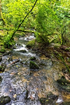 Kennall River in Kennall Vale Nature Reserve, Ponsanooth, Cornwall, United Kingdom