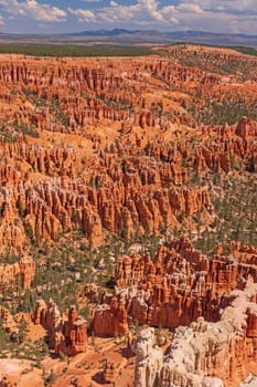 Colorful Hoodoos Filling a Canyon in Bryce Canyon National Park in Utah