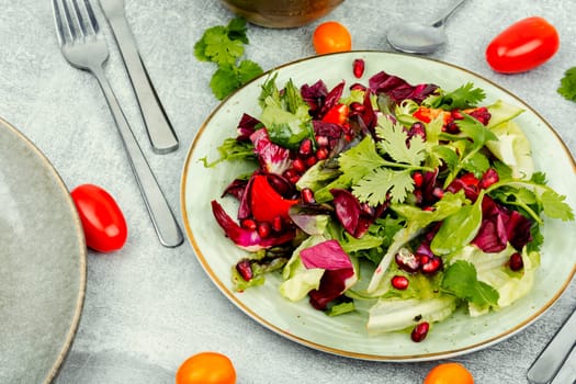 Vitamin salad with greens, pepper, red lettuce and cucumber, decorated with pomegranate.