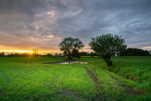 Sunset and evening clouds over green fields with trees, Zarzecze, Poland