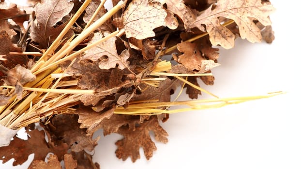 The badnjak veseljak is a tree branch or entire tree that is central to Serbian Christmas celebrations. It is placed on a fire on Christmas Eve and its branches are later brought home by worshipers