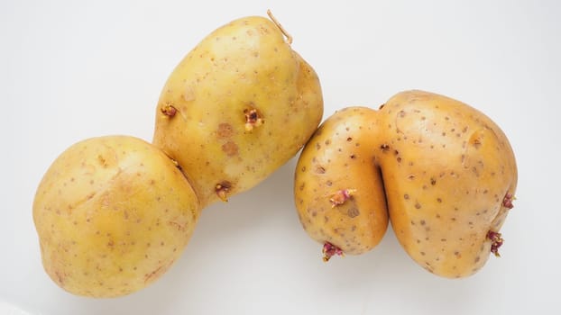 Ugly potatoes on white background. Unnormal vegetable, zero waste. Irregular shaped pratie spud. Influence of dioxins, radiation, pesticides and mutagenic factors on plant development