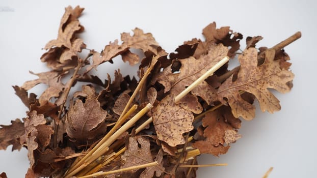The badnjak veseljak is a tree branch or entire tree that is central to Serbian Christmas celebrations. It is placed on a fire on Christmas Eve and its branches are later brought home by worshipers