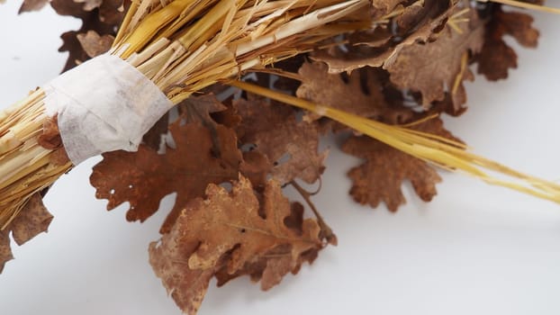 The badnjak veseljak is a tree branch or entire tree that is central to Serbian Christmas celebrations. It is placed on a fire on Christmas Eve and its branches are later brought home by worshipers