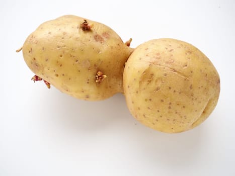Ugly potatoes on white background. Unnormal vegetable, zero waste. Irregular shaped pratie spud. Influence of dioxins, radiation, pesticides and mutagenic factors on plant development
