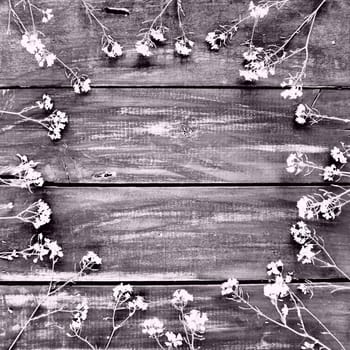 rapeseed flowers laid out in a circle on wooden table. Wildflowers are arranged on the table. Copy space still life. Free space for text. Brassica napus Cabbageaceae. Black and white monochrome photo