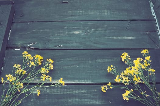 Yellow rapeseed flowers collected in a bunch or bouquet on wooden background. Wildflowers are arranged neatly on the table. Copy space and still life. Free space for text. Brassica napus Cabbageaceae