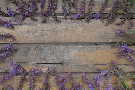 Lavender and sage flowers on a wooden table close-up. Horizontal boards of dark old wood with purple and blue flowers and leaves all around. Still life and flat lay. Free space for text. Copy space