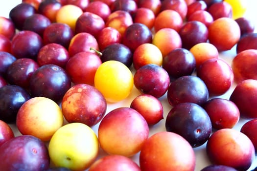 Cherry plum on a white background. A yellow-red cherry plum mix just removed from a tree. Delicious fresh plum berries. Appetizing large cherry plum for sale catalog. Food on a white background.