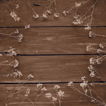 rapeseed flowers laid out in a circle on wooden table. Wildflowers are arranged on the table. Copy space still life. Free space for text. Brassica napus Cabbageaceae. Sepia monochrome photo
