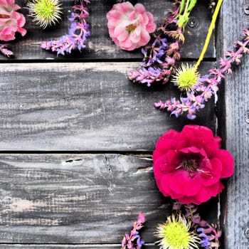 Flowers in a semicircle on a wooden background. Postcard for the holiday. Roses, lavender, sage and hairy chestnuts along the edges on dark boards. Background copy space, flat lay. Festive poster