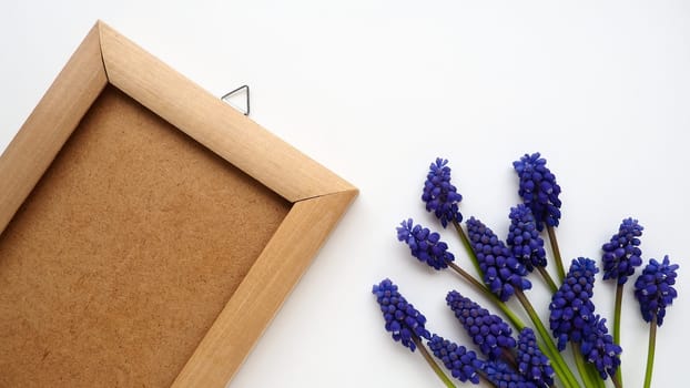 Blue spring flowers on a white background. Muscari armeniacum. Bright postcard, congratulations. Copy space still life flat lay. Armenian grape hyacinth. Photo frame made of cardboard and wood.