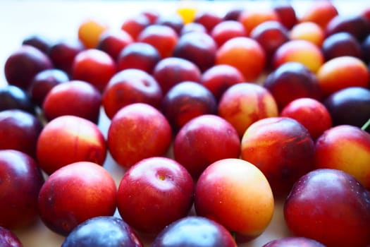 Cherry plum on a white background. A yellow-red cherry plum mix just removed from a tree. Delicious fresh plum berries. Appetizing large cherry plum for sale catalog. Food on a white background.