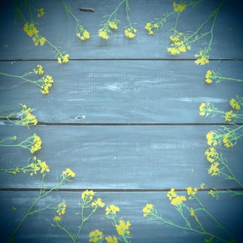 Yellow rapeseed flowers laid out in a circle on wooden background. Wildflowers are arranged neatly on the table. Copy space still life. Free space for text. Brassica napus Cabbageaceae. Wooden tray.