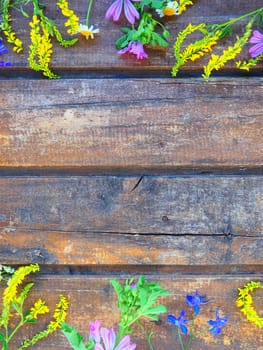Multicolored wildflowers are arranged in a circle on a wooden table background. Chamomile, sweet clover, wild geranium, bluebells, parsley inflorescences. Horizontal boards. Romantic Provence style.