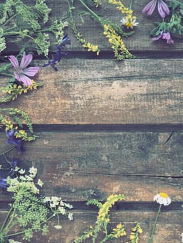 Multicolored wildflowers are arranged in a circle on a wooden table background. Chamomile, sweet clover, wild geranium, bluebells, parsley inflorescences. Horizontal boards. Romantic Provence style.
