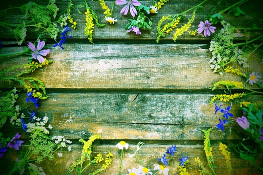 Wildflowers arranged in a circle on a wooden table background. Chamomile, sweet clover, wild geranium, bluebells, parsley inflorescences. Wooden horizontal boards. Green tone