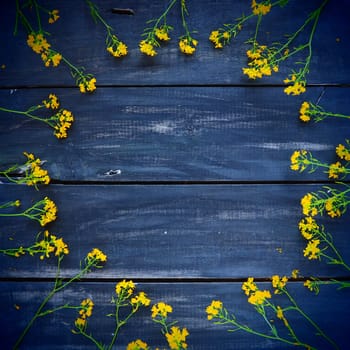 Yellow rapeseed flowers laid out in a circle on wooden background. Wildflowers are arranged neatly on the table. Copy space still life. Free space for text. Brassica napus Cabbageaceae. Wooden tray.