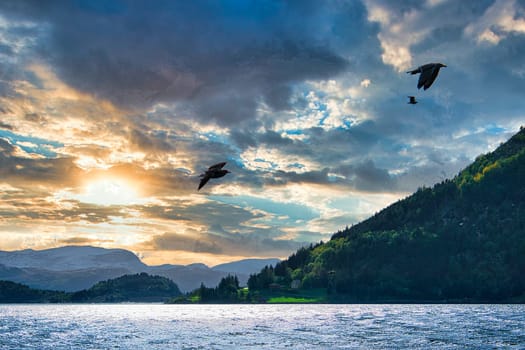 Norway Selje, a fantastic fishing spot . A beautiful landscape. A dream destination.