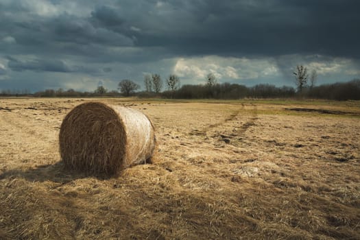 A bale of hay lying on a dry meadow and a cloudy sky, spring view