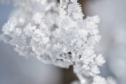 Ice crystals froze in all directions. Abundant textured and bizarre shapes were formed. Winter shot from nature