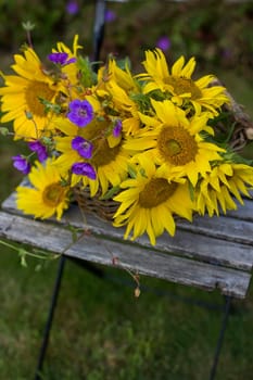 flowers - sunflowers and geranium in a basket on chair in the garden