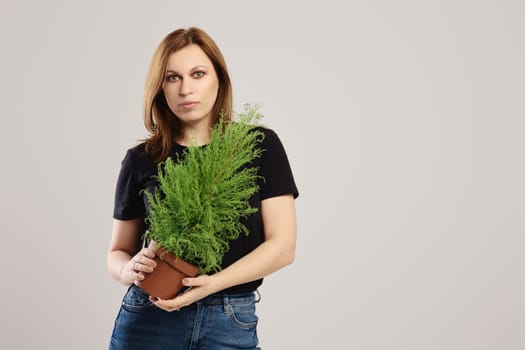 Botanist holds small decorative thuja in hand over grey background
