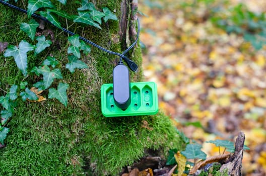 Green electricity socket on a tree trunk, substainable renewable energy, csr concept, environment protection, eco technology