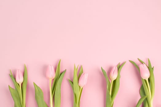 Tulips greeting card for birthday, easter holiday, valentines day, mothers day, spring season