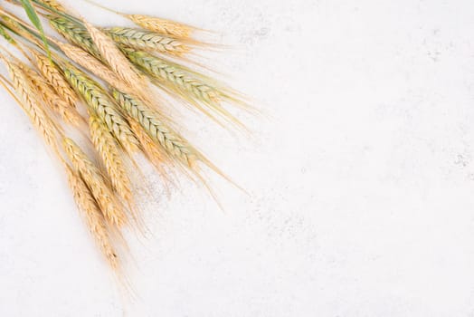 Wheat crop on a textured background, food harvest in the summer, golden straw