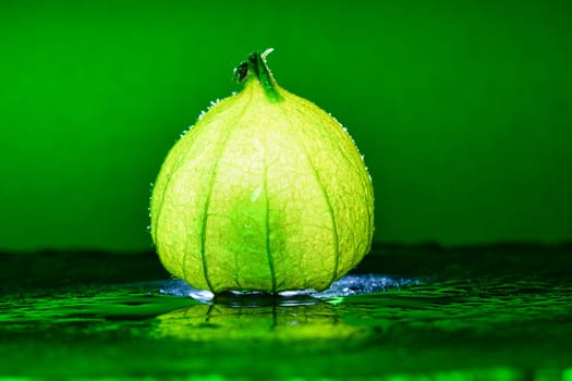 Physalis on black wet soil with green background. Illuminated fruit. Vitamin C rich fruit. Structures shown in detail. Photo food