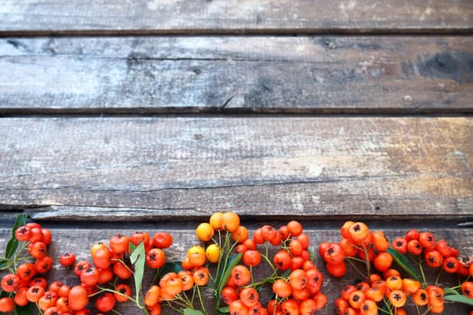Red, orange and yellow winter berries on a horizontal wooden background. Rowan fruits are located along the lower edge of the background. New Year or Christmas natural background.
