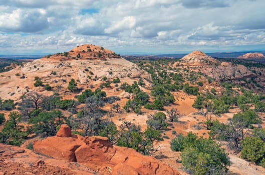 Red Rock Islands in the Desert in Canyonlands National Park in Utah