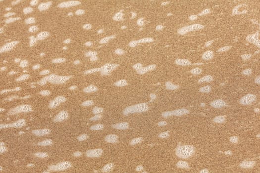 Small patches of white foam on beach sand wet from ocean water. Abstract sea / marine background.