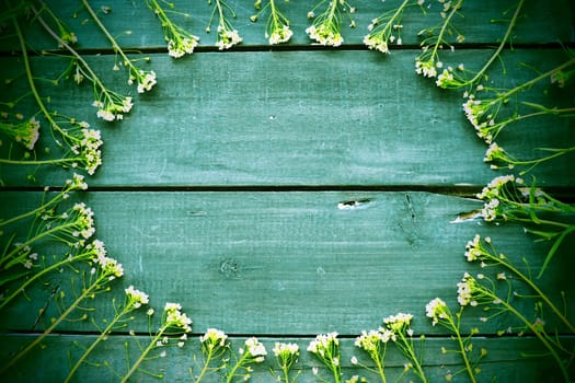 Shepherd's purse flowers arranged in a circle on a wooden background or old table. Small yellow inflorescences. copyspace. Free space in the center for text. Green toning. Dark vignetting around