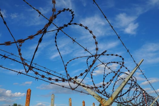 Barbed wire against the blue sky. Barbed wire is a wire or a narrow strip of metal with sharp spikes. Device of barriers. The concept of freedom, protection of property, violence, imprisonment.