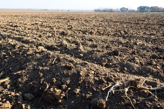 Arable field ready for spring agricultural work. Furrows from the passage of a tractor or combine. Cornmeal on the ground. Fertile soil for planting. Fertilizers are the key to a good harvest