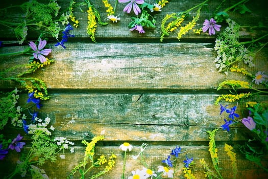 Wildflowers arranged in a circle on a wooden table background. Chamomile, sweet clover, wild geranium, bluebells, parsley inflorescences. Wooden horizontal boards. Green tone