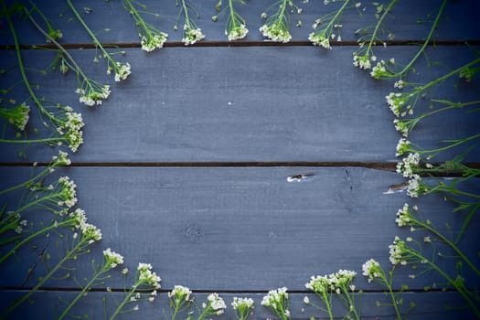Shepherd's purse flowers arranged in a circle on a wooden background or old table. Small yellow inflorescences. copyspace. Free space in the center for text. Blue toning. Dark vignetting around edges.