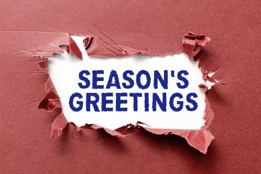 Text sign showing Season's Greetings, Business idea Used as an expression of goodwill during festivities