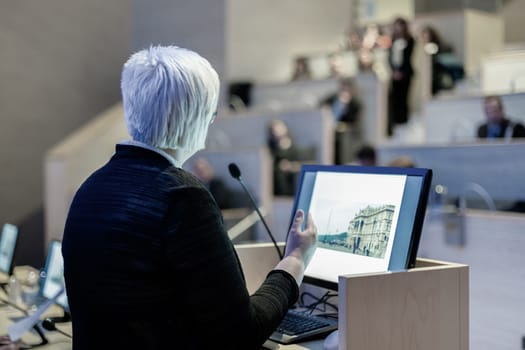 Business woman lecturing at Conference. Audience at the lecture hall.