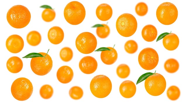Seamless pattern. Raw tangerine fruits isolated on white background
