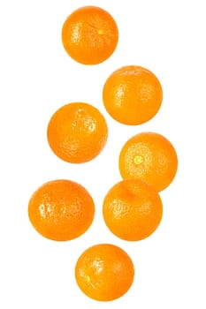 Isolated flying fruit. Seven pieces of falling ginger root on white background with clipping path as package design element and advertising. Full depth of field.
