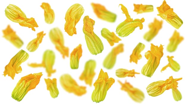 Isolated vegetables. Zucchini flowers for advertisement. Packaging concept. Full depth of field. Clip art image for package design.