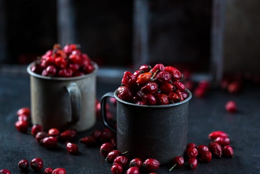 Rosehip in the cup. Benefits and used as a natural remedy. Natural therapy. dark mode style.