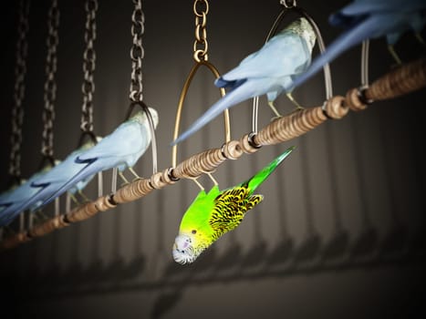 Green bird stands out from the crowd. Individuality concept. 3D illustration.