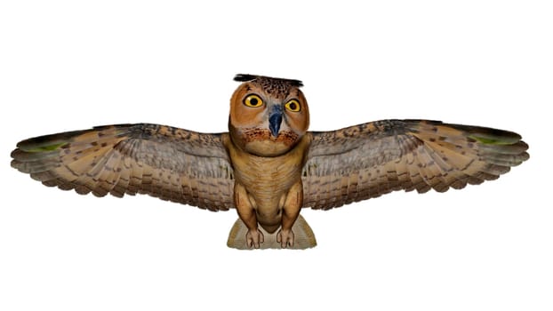 Eagle owl gliding isolated in white background - 3D render